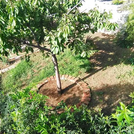 In Pula/istrien 27783 Apartmán Pula